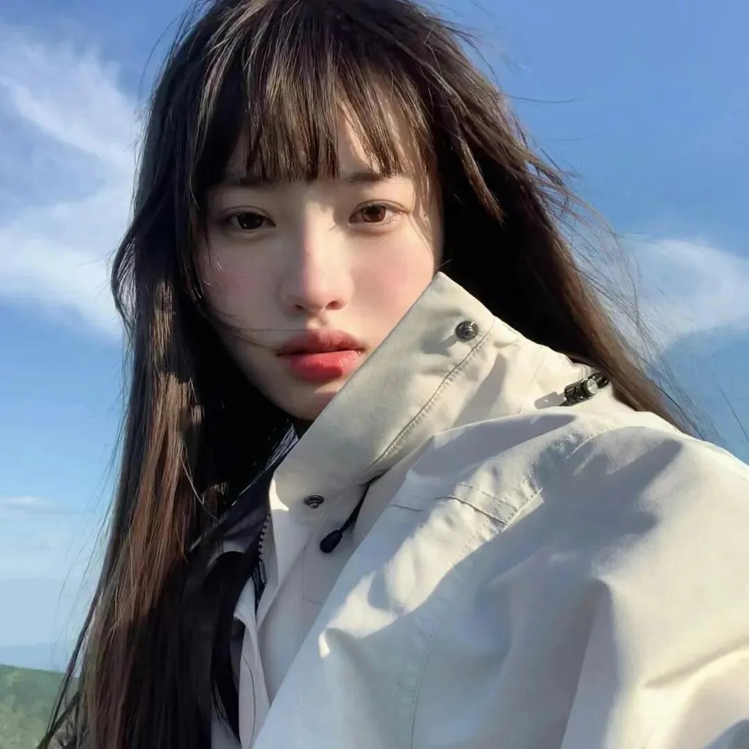 动画综艺